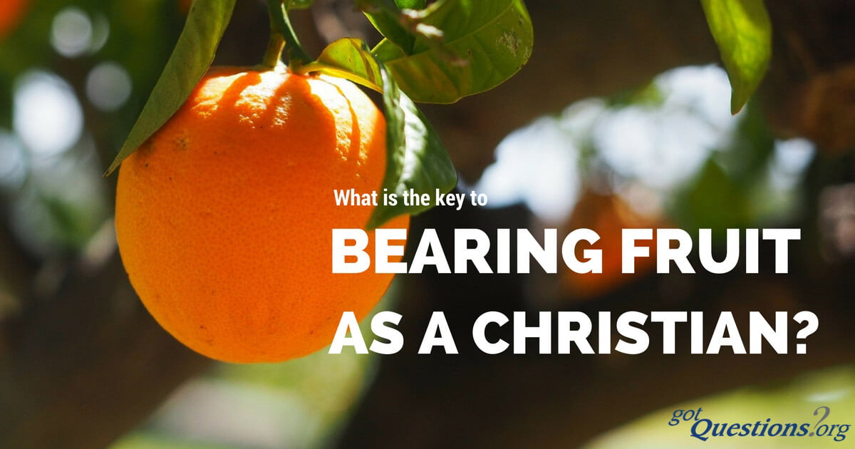 The Difference Between Bearing Fruit and Producing Fruit - Christian Gist